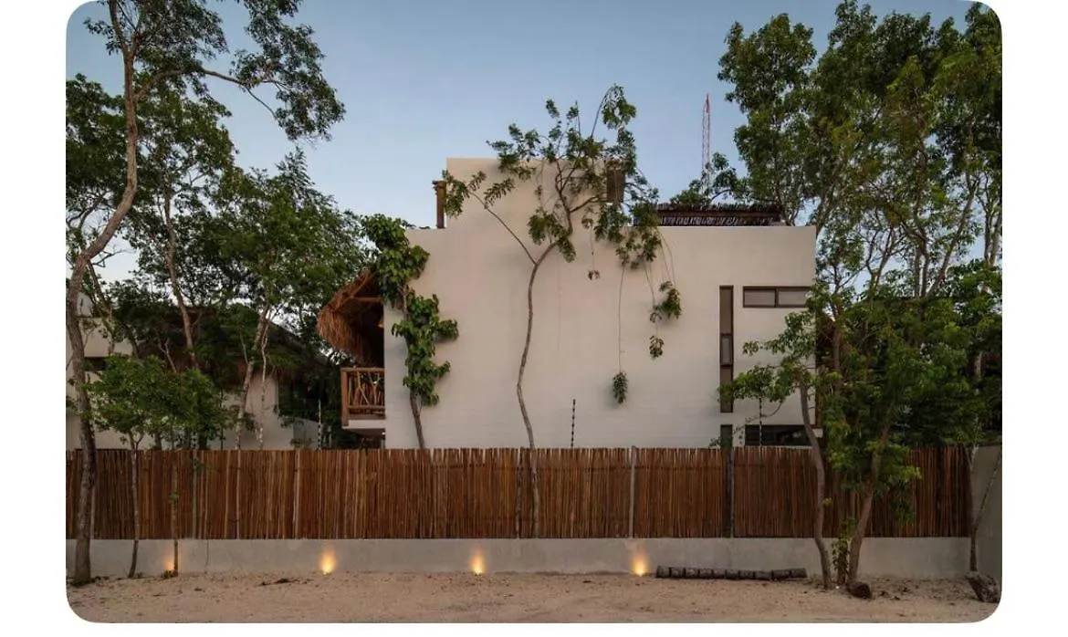 טולום Loft Hermoso Con Rooftop
